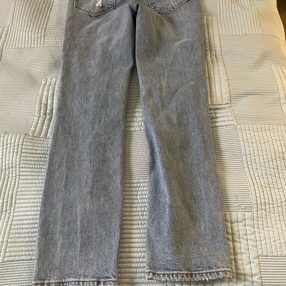 Denim Forum Arlo High Rise Jeans in Light Blue